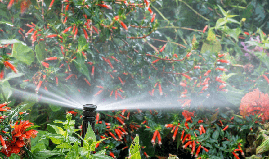 IRRIGATION SYSTEM SERVICES